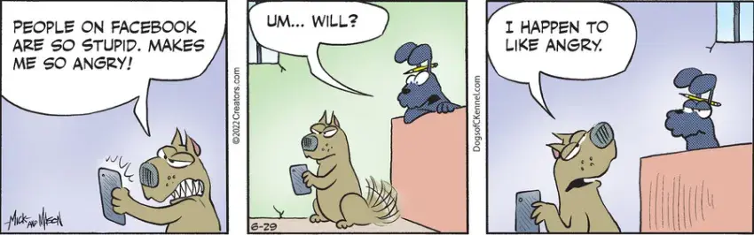 Dogs of C-Kennel for Jun 29, 2022