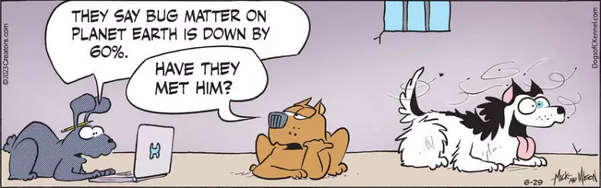 Dogs of C-Kennel for Jun 29, 2023