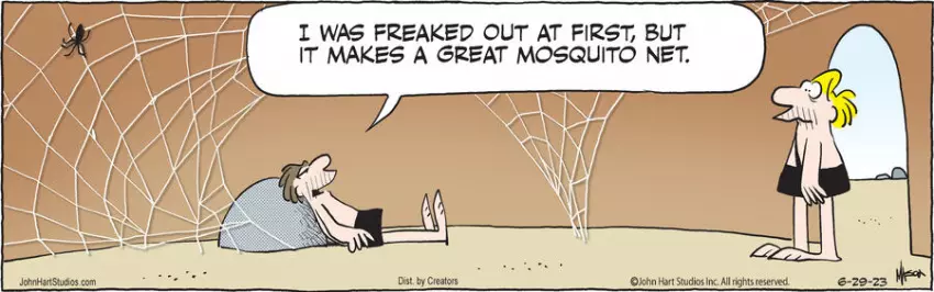 B.C. for Jun 29, 2023