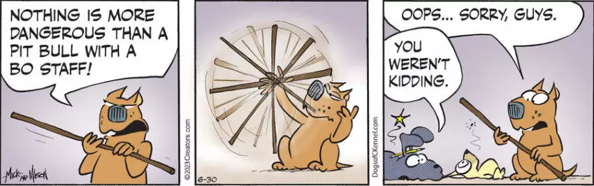 Dogs of C-Kennel for Jun 30, 2023