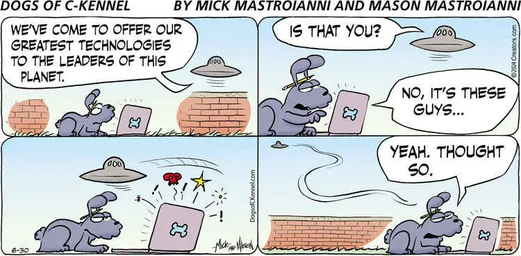 Dogs of C-Kennel for Jun 30, 2024