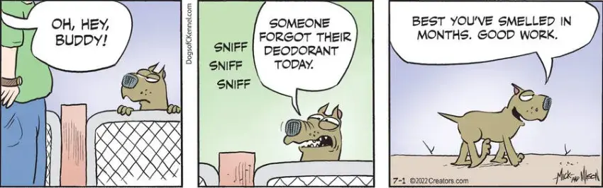 Dogs of C-Kennel for Jul 01, 2022