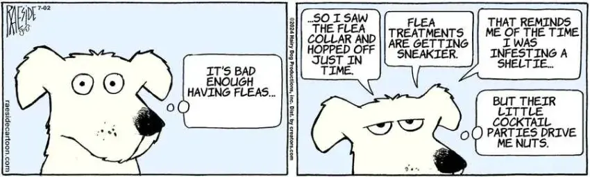 The Other Coast for Jul 02, 2024