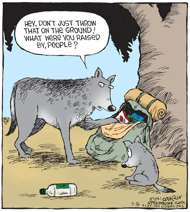 Speed Bump for Jul 06, 2021