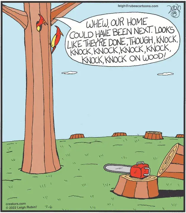 Rubes® for Jul 06, 2022