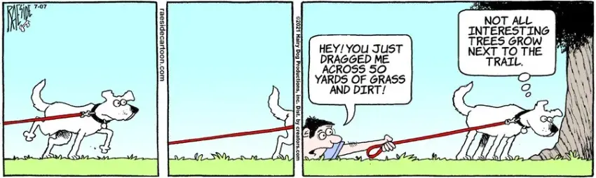 The Other Coast for Jul 07, 2021