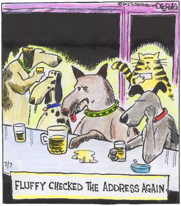 Strange Brew for Jul 07, 2023