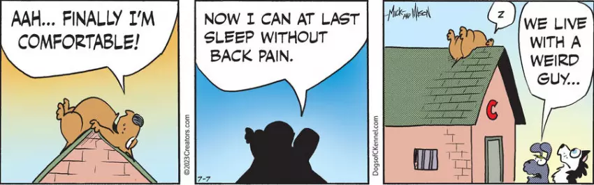 Dogs of C-Kennel for Jul 07, 2023