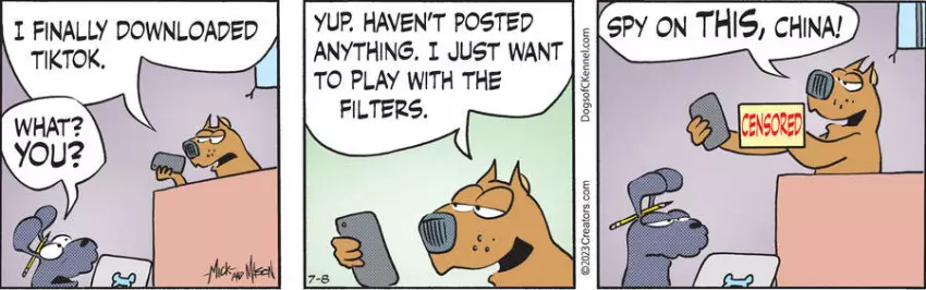 Dogs of C-Kennel for Jul 08, 2023