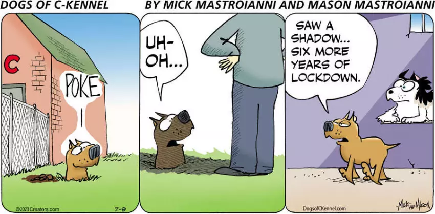 Dogs of C-Kennel for Jul 09, 2023