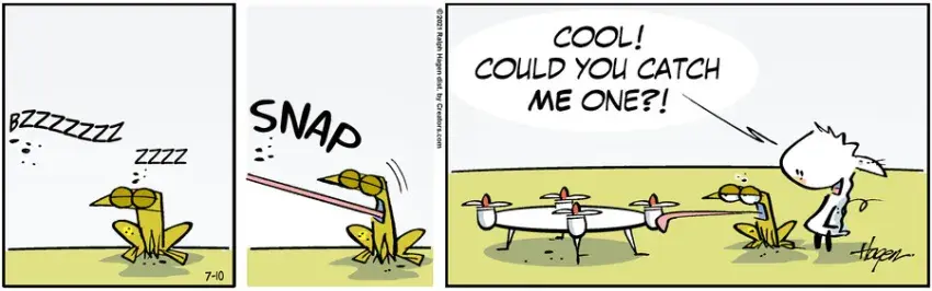 The Barn for Jul 10, 2021