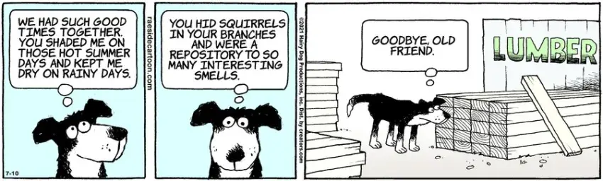 The Other Coast for Jul 10, 2021