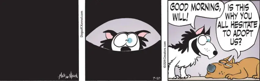 Dogs of C-Kennel for Jul 10, 2024