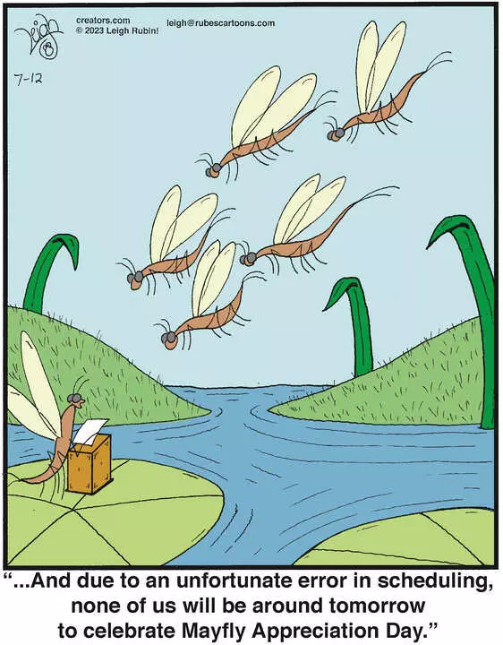 Rubes® for Jul 12, 2023