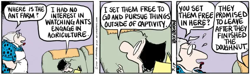 Agnes for Jul 17, 2021