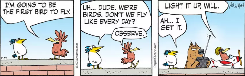 Dogs of C-Kennel for Jul 17, 2023