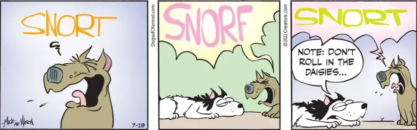 Dogs of C-Kennel for Jul 19, 2022