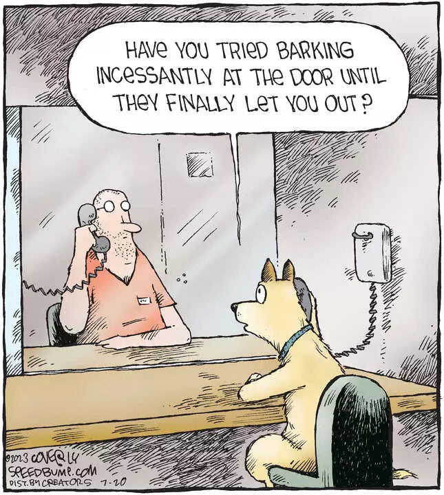 Speed Bump for Jul 20, 2023