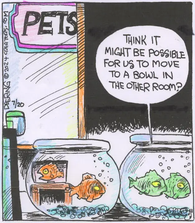 Strange Brew for Jul 20, 2024