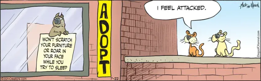 Dogs of C-Kennel for Jul 22, 2021