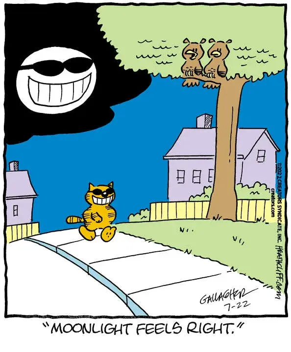 Heathcliff for Jul 22, 2022