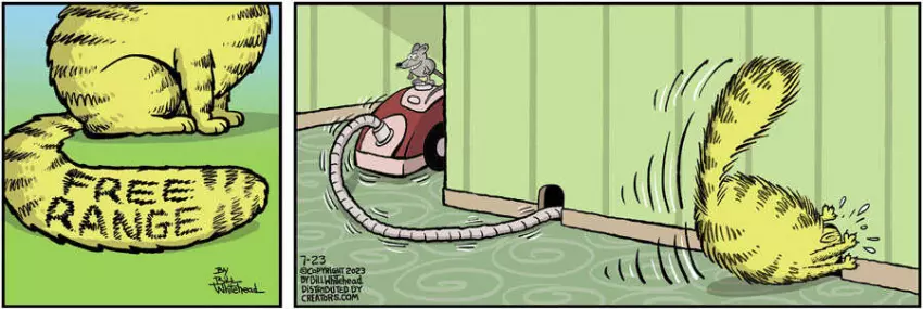 Free Range for Jul 23, 2023