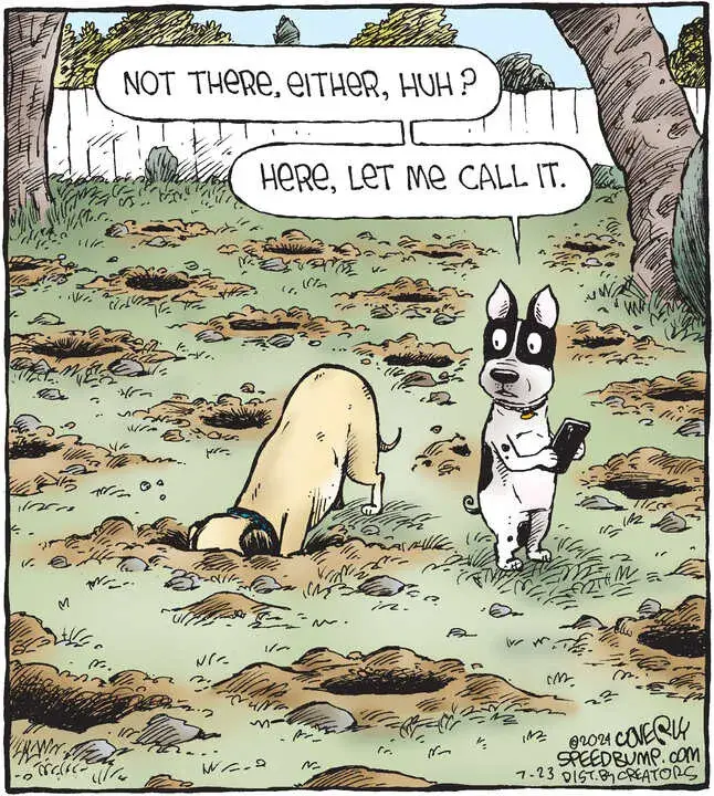 Speed Bump for Jul 23, 2024