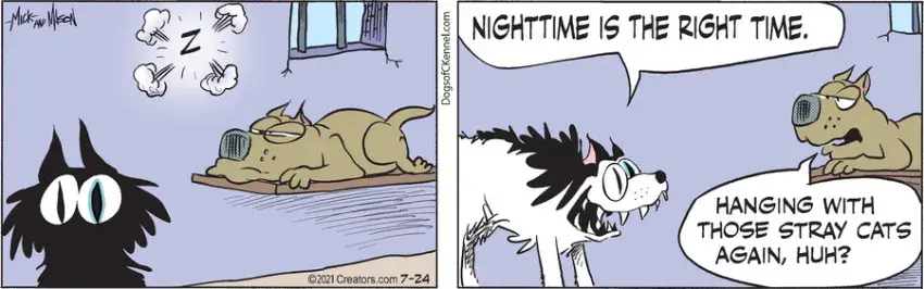 Dogs of C-Kennel for Jul 24, 2021