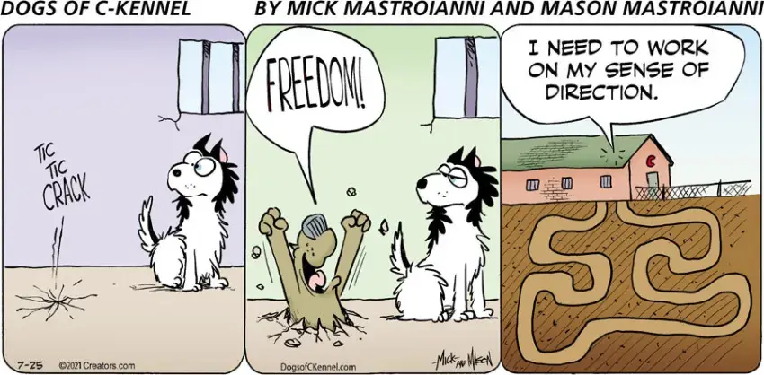 Dogs of C-Kennel for Jul 25, 2021