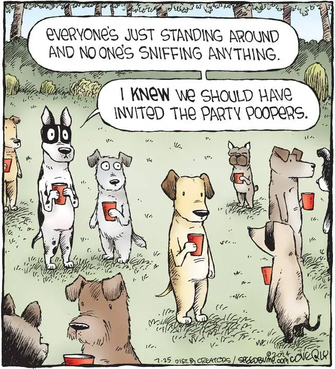 Speed Bump for Jul 25, 2024