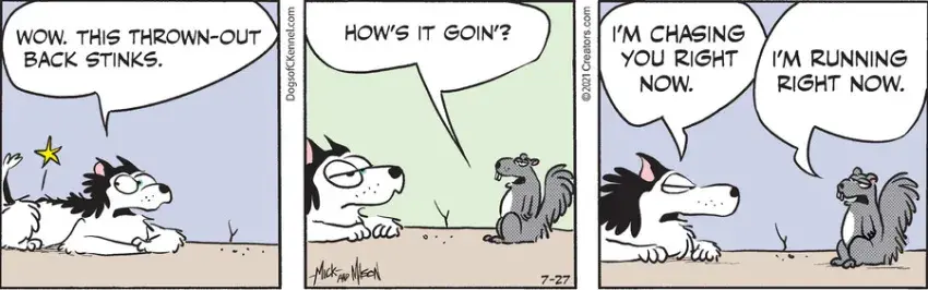 Dogs of C-Kennel for Jul 27, 2021
