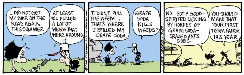 Agnes for Jul 27, 2024