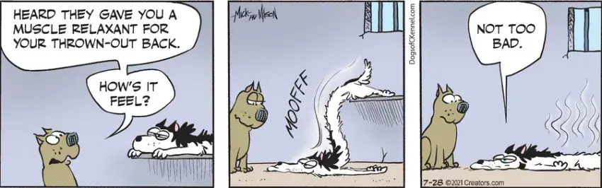 Dogs of C-Kennel for Jul 28, 2021