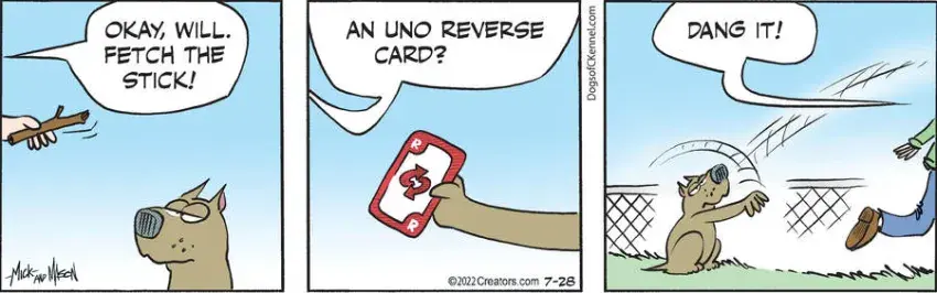 Dogs of C-Kennel for Jul 28, 2022