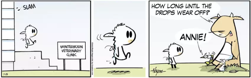 The Barn for Jul 28, 2023