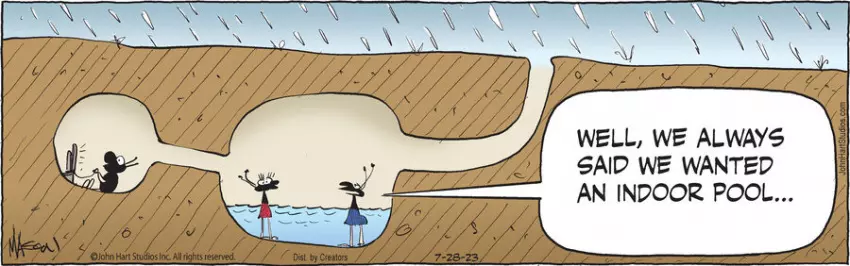 B.C. for Jul 28, 2023