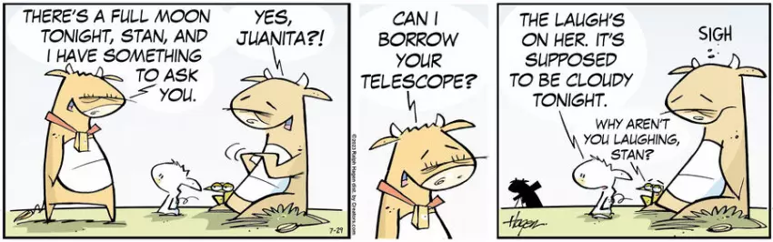 The Barn for Jul 29, 2023