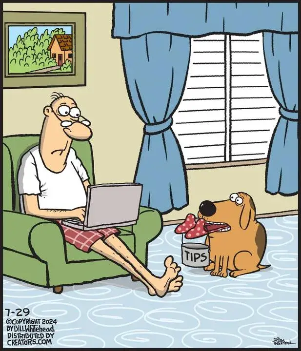 Free Range for Jul 29, 2024