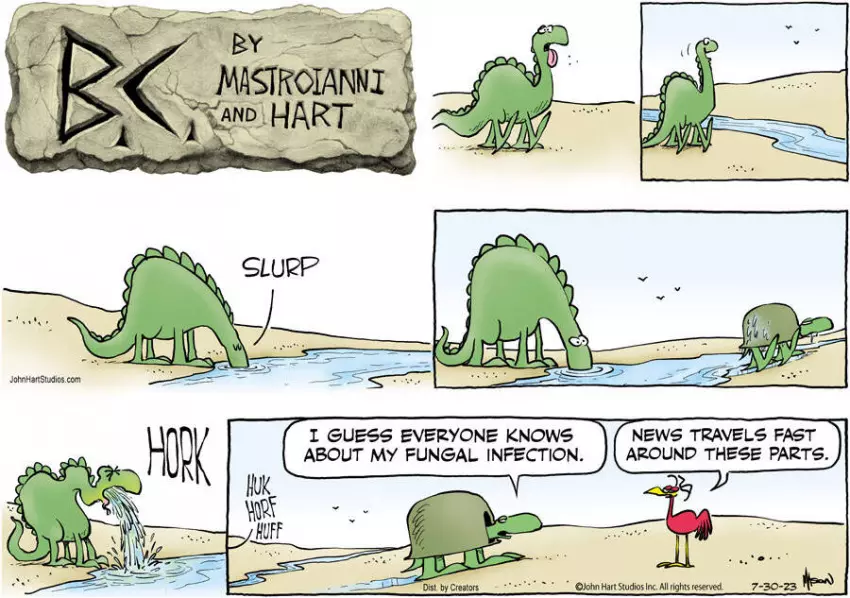 B.C. for Jul 30, 2023