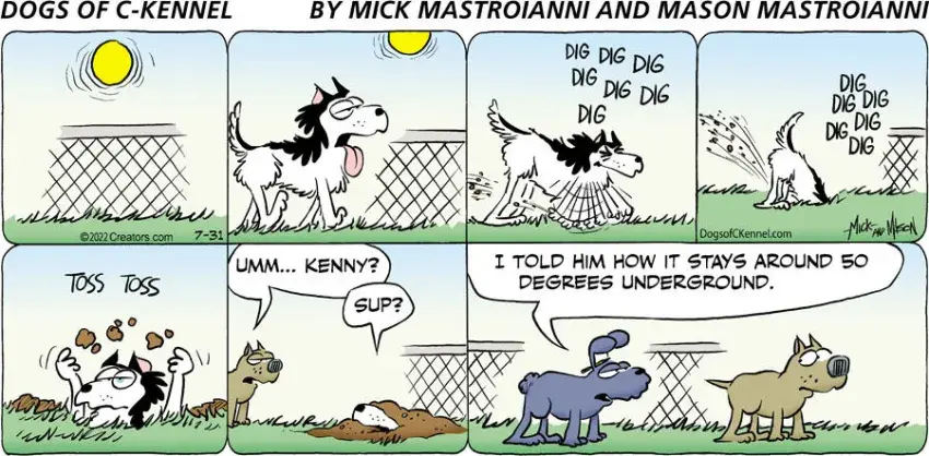 Dogs of C-Kennel for Jul 31, 2022