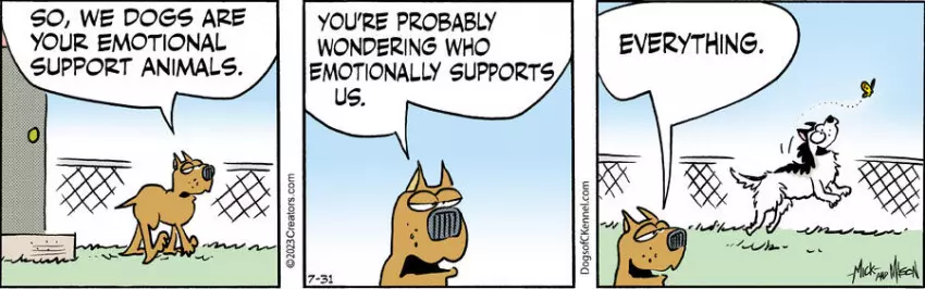 Dogs of C-Kennel for Jul 31, 2023