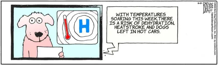 The Other Coast for Aug 01, 2024