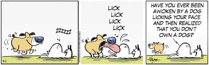 The Barn for Aug 02, 2021