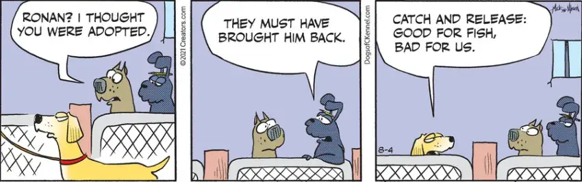 Dogs of C-Kennel for Aug 04, 2021