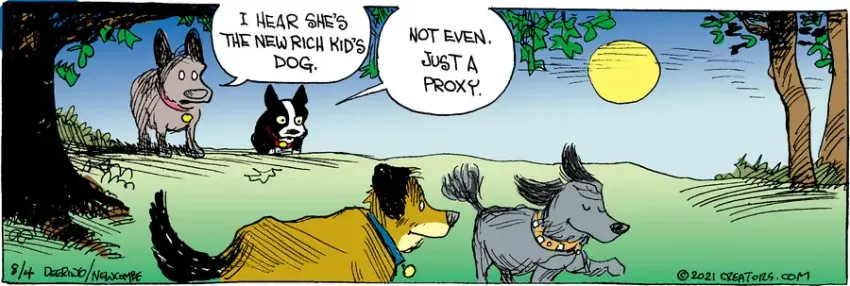 Zack Hill for Aug 04, 2021