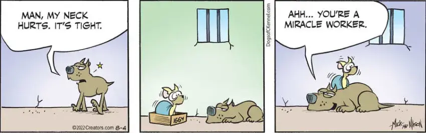 Dogs of C-Kennel for Aug 04, 2022