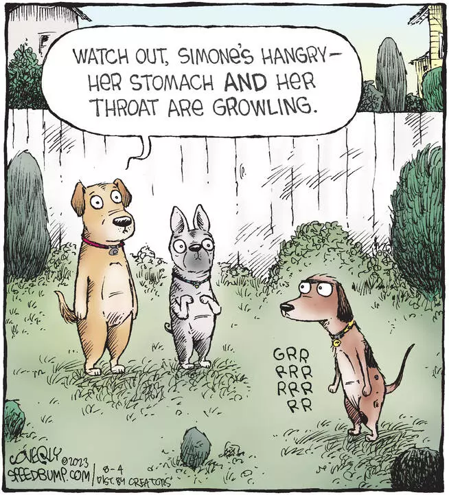 Speed Bump for Aug 04, 2023