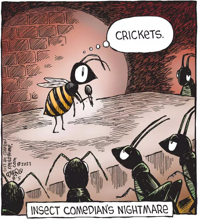 Speed Bump for Aug 05, 2023