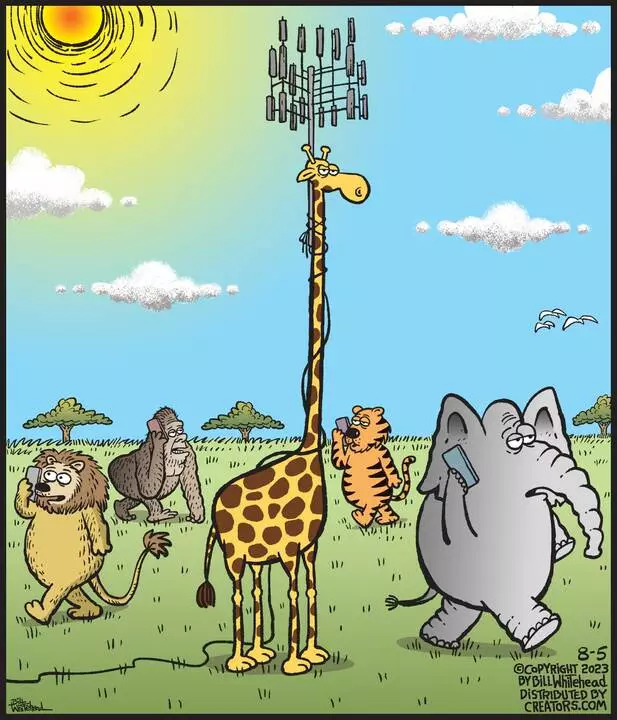 Free Range for Aug 05, 2023