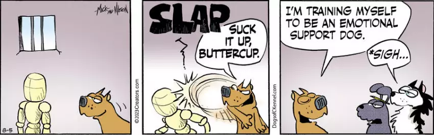 Dogs of C-Kennel for Aug 05, 2023